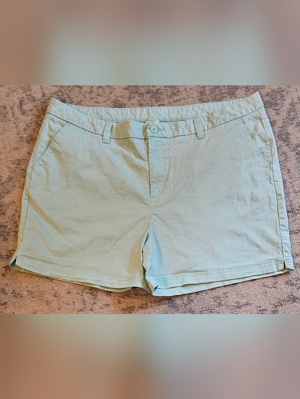 Magellan Green Shorts Size 22